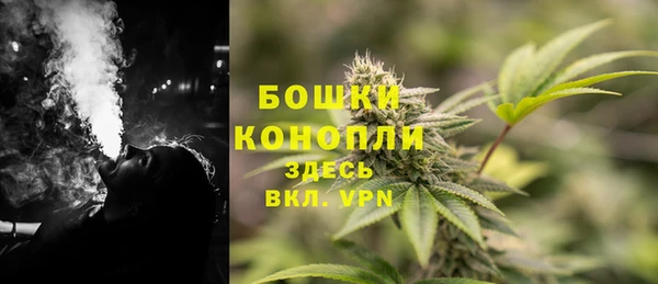 ГАЛЛЮЦИНОГЕННЫЕ ГРИБЫ Армянск
