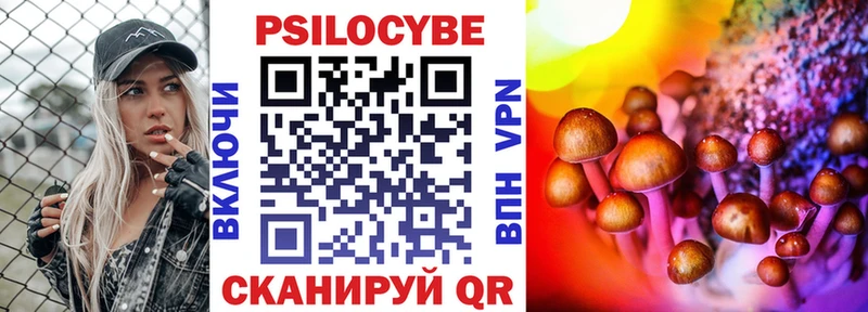 hydra онион  Райчихинск  Псилоцибиновые грибы Cubensis 
